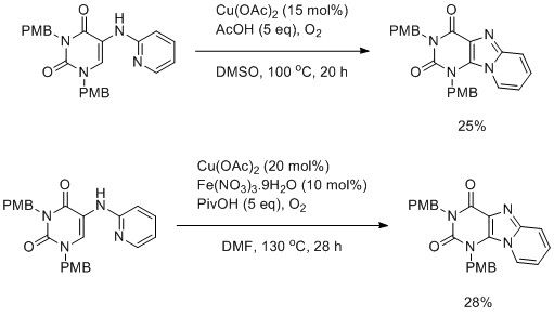 Scheme 2: Buchwald and Zhu  Copper catalysed C-H amination methods applied to the synthesis of C8-N9 purines (Maes et al.,2013 [14])
