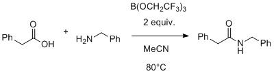 Scheme 1: Direction amidation example reaction