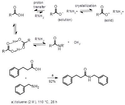 Scheme 1: Equilibria involved in the thermal condensation of carboxylic acids and amines.  The formation of N-benzyl-3-phenylpropanamide is from Williams et al. [2].